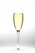 champagne glas champangeglas